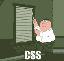Run CSS on Browser